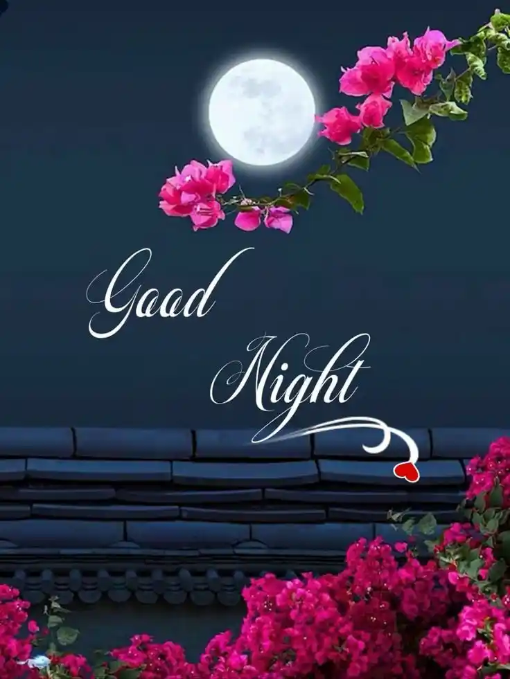 new-good-night-images