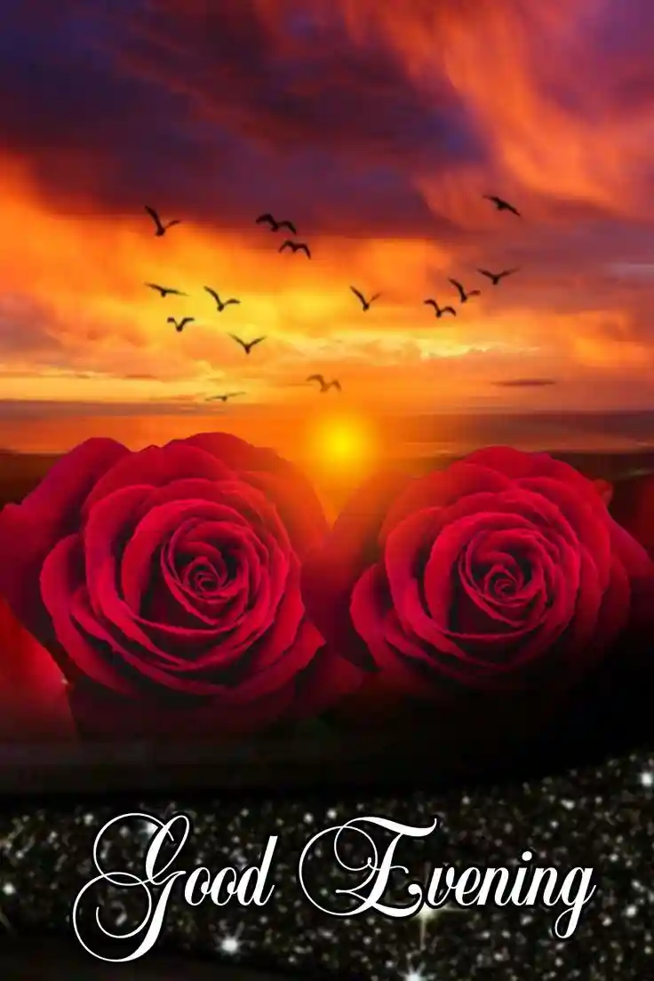 beautiful-good-evening-images