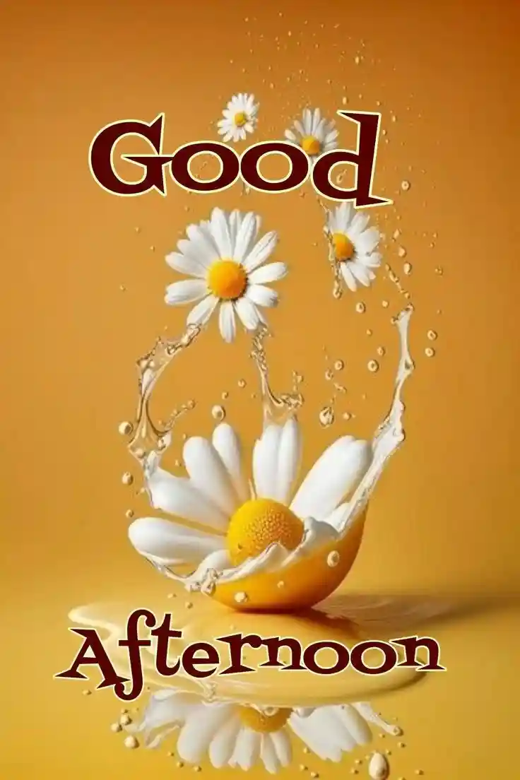 good-afternoon-photos