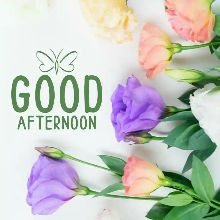 good-afternoon-photos