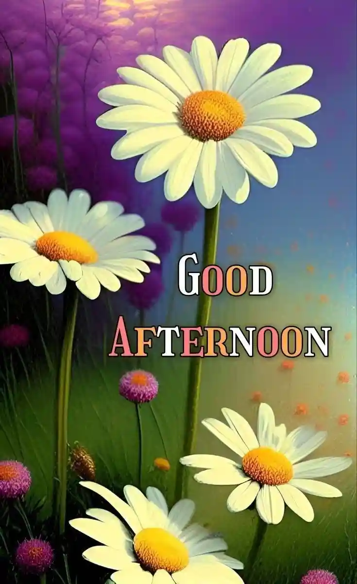 good-afternoon-pictures