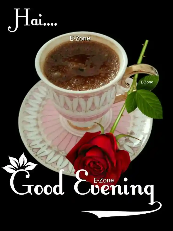 good-evening-flowers-images