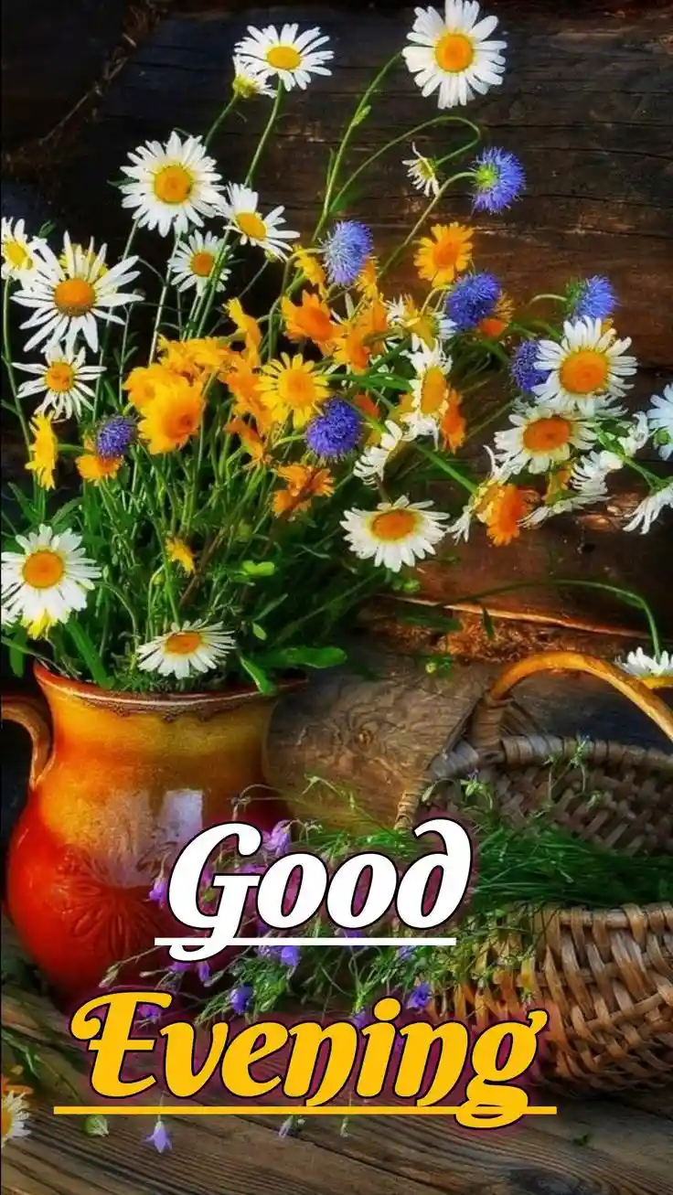 instagram-good-evening-images