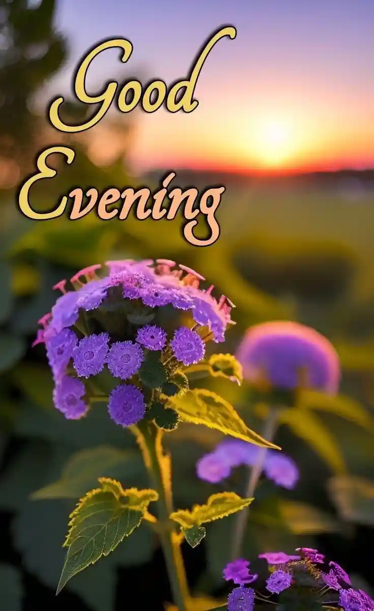 kiss-romantic-good-evening-images