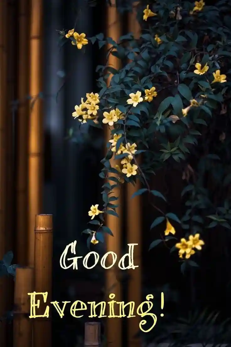 lgood-evening-love-images