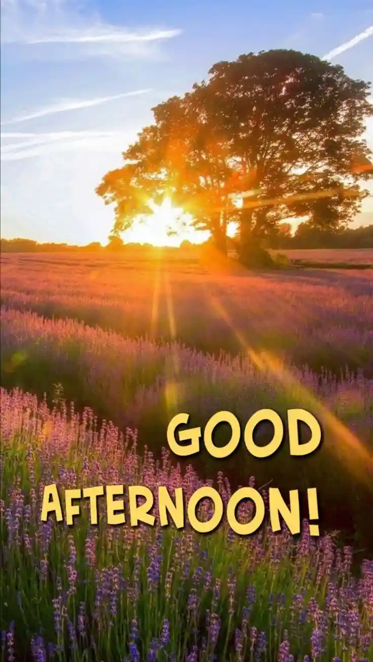 lovely-good-afternoon-images